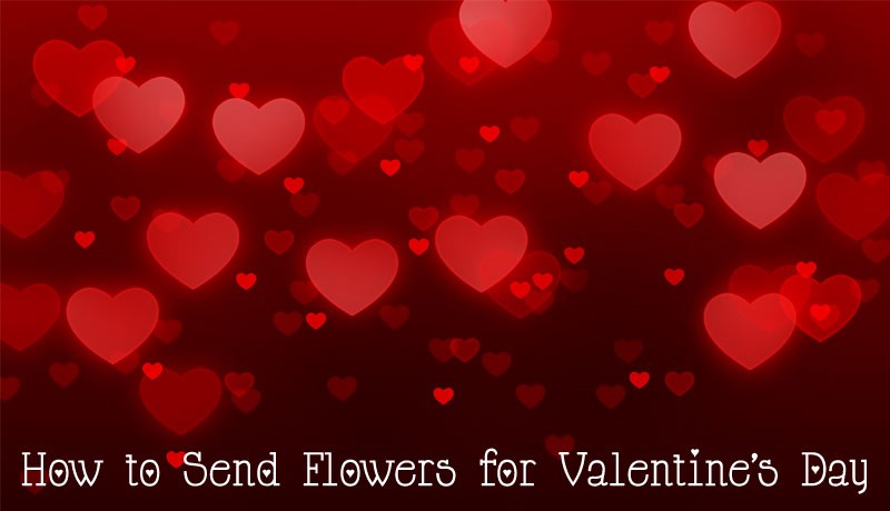 Floating red hearts in a red background with words How to Send Flowers for Valentine's Day below it