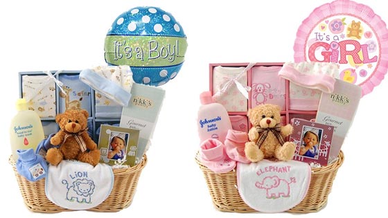  What To Put In A New Baby Gift Basket Raphaels Gifts