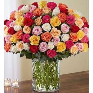 100 Mixed Roses in a Vase