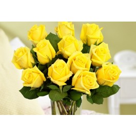 12 Yellow Ecuadorian Roses