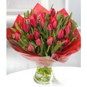3 dozen red tulips bouquet