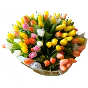 My Endless Love (50 Tulips)