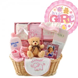 new baby girl gift set