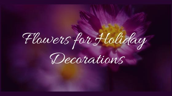 flowers-for-holiday-decorations
