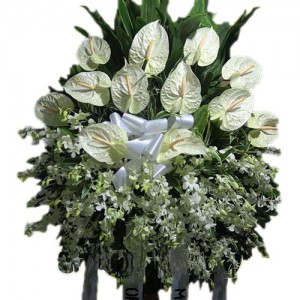 White Anthuriums and Orchids Funeral Stand