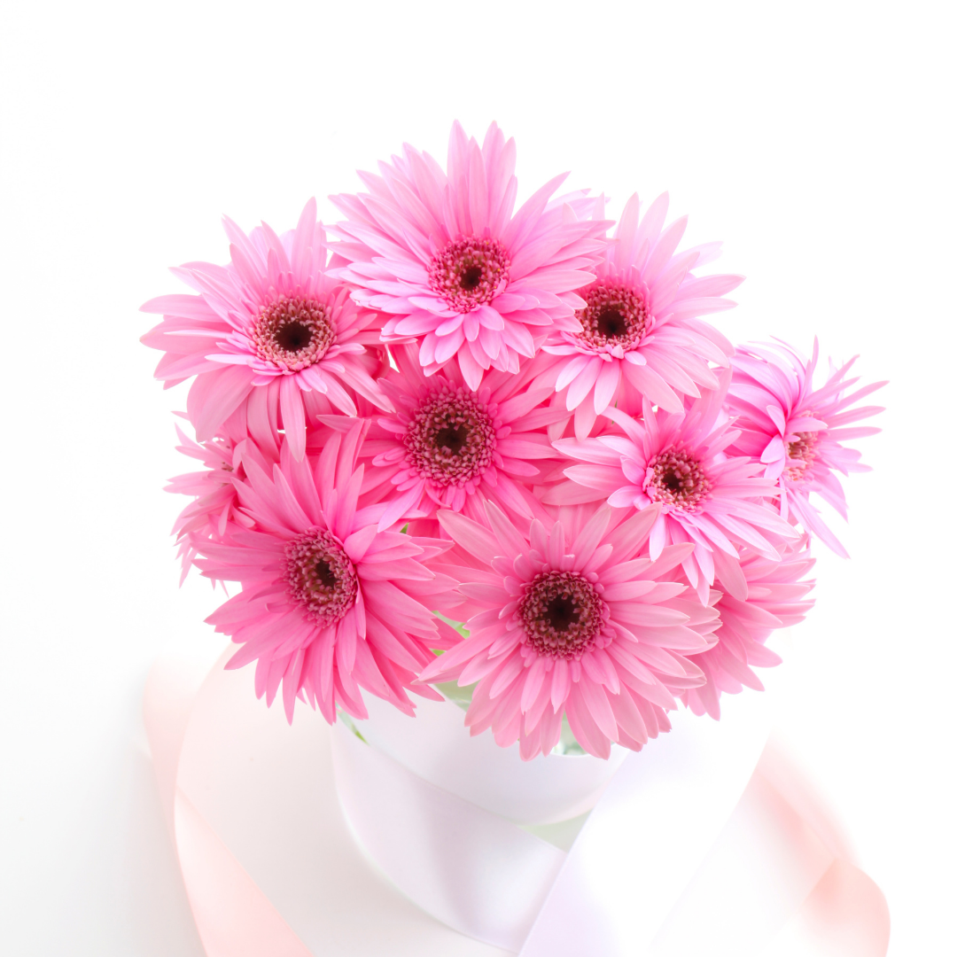 gerbera lilies flowers for mothers day philippines