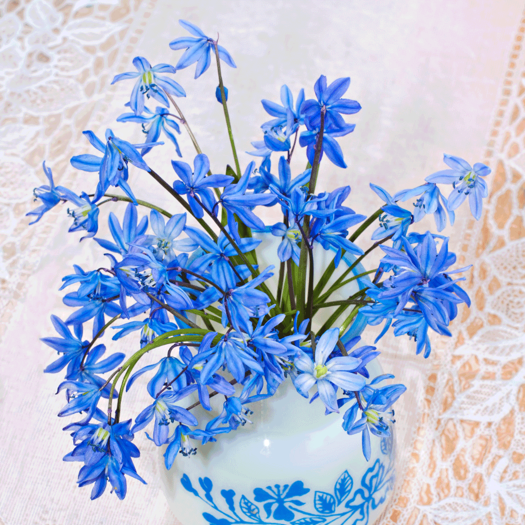 bluebell flowers for mothers day philippines